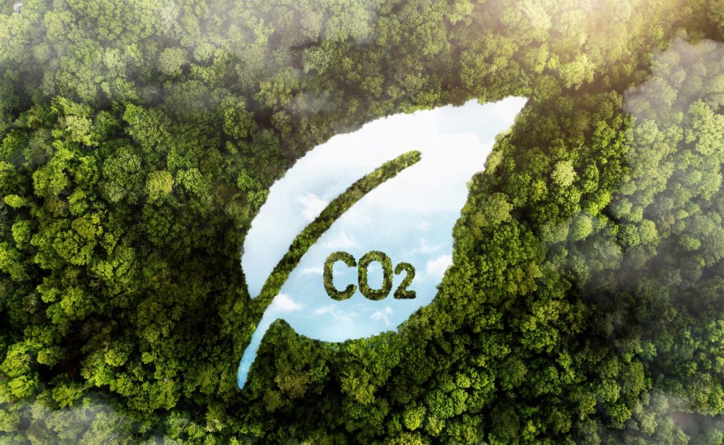 Zimbabwe’s Untapped Carbon Frontier: Can Green Gold Unlock Sustainable Development?